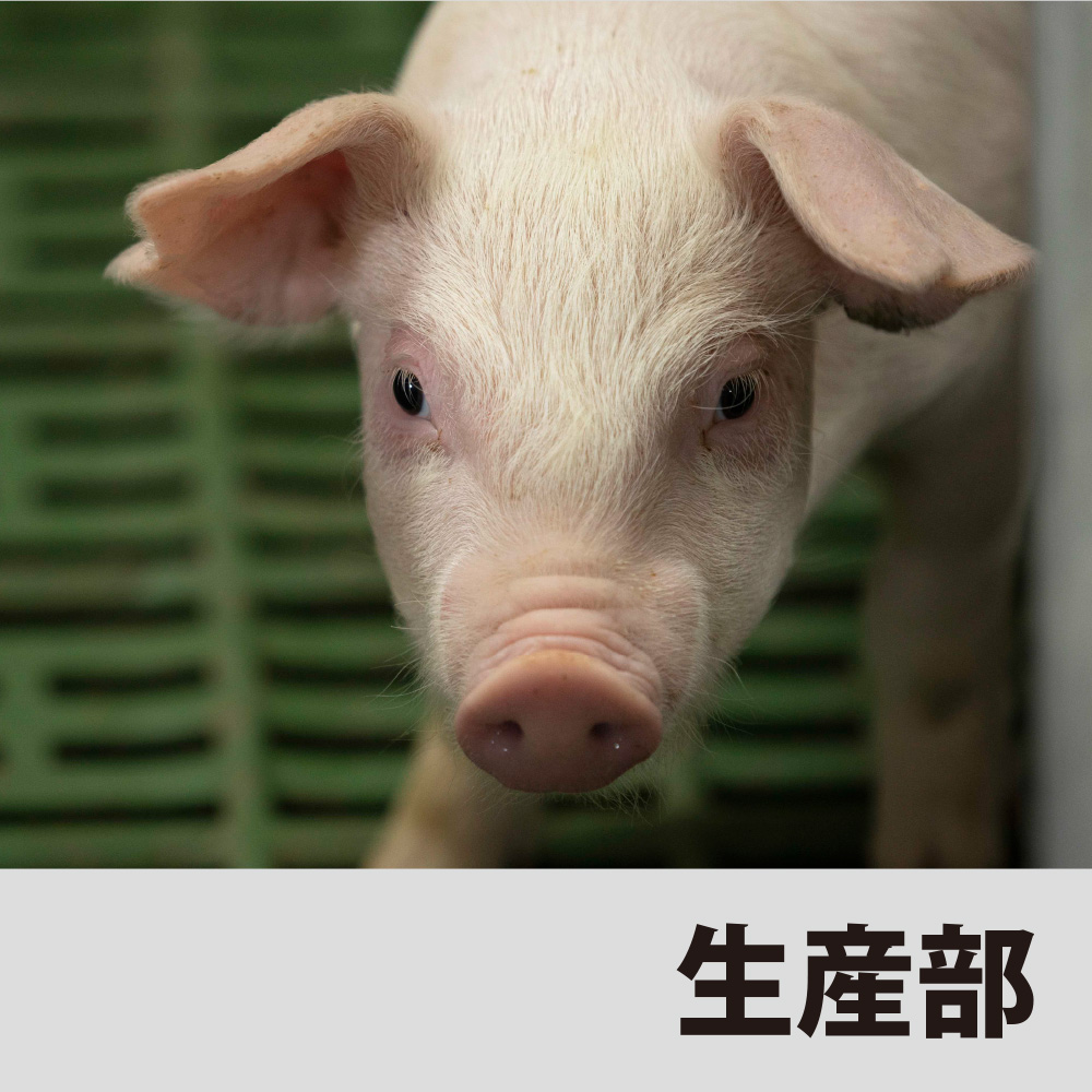 生産部